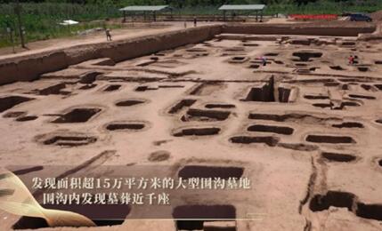 陕西现聚落遗址 西周墓葬有43个殉人 为什么这么多？