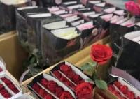 北京鲜花价格“刺手” 玫瑰翻价5倍 为什么涨这么多什么原因？