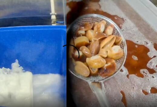 海鲜加工厂的狠活:硼砂泡出黄金鲍 背后真相实在让人惊愕