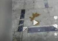 安徽滁州一小区内有人高空抛下粪便 内幕曝光简直太意外了