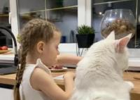 俄罗斯一只猫和4岁儿童一样高 内幕曝光简直太意外了