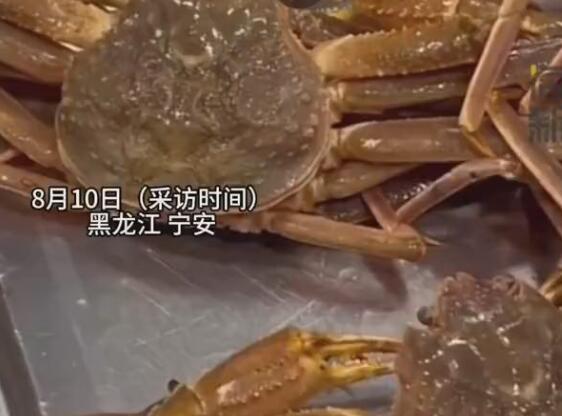 幼儿园1天16元能吃生蚝鳗鱼大螃蟹 背后真相实在让人惊愕