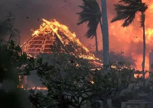 夏威夷山火致67死 预计死亡数会激增 内幕曝光简直太意外了