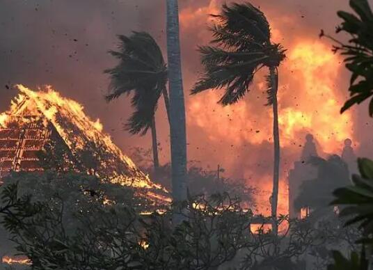 夏威夷山火起因或涉及电力公司 内幕曝光简直太意外了