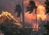 夏威夷山火起因或涉及电力公司 内幕曝光简直太意外了