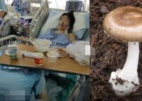 一家7口吃野菇2人死亡2人进ICU 内幕曝光简直太意外了
