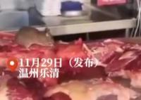 温州一火锅店现老鼠啃食生牛肉 内幕曝光简直太意外了