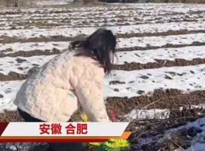 小木匠妻子带儿女到丈夫坟前祭拜 也算是给他一个交代